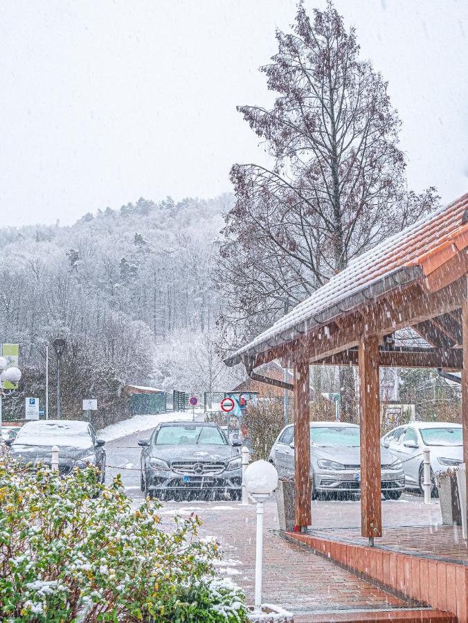 Tdyhomes Hotel Landstuhl Dış mekan fotoğraf